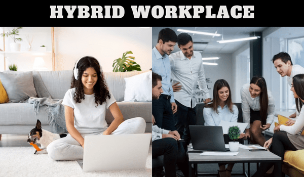 Hybrid: Will solos be better off working remotely & team players from office?