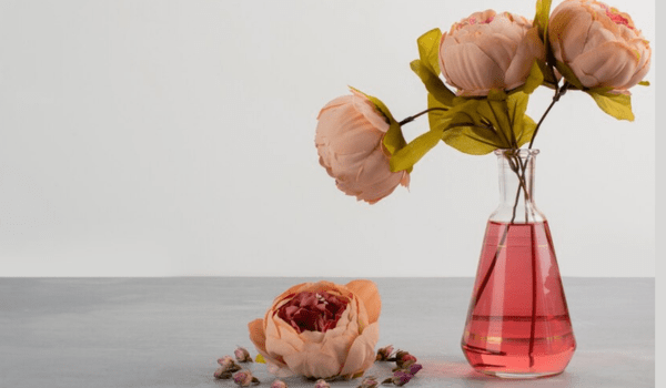 Why employees should appreciate dry promotions