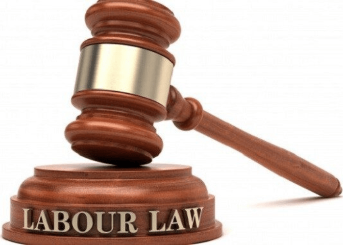Labour Welfare and Employment Index will promote labour uniformity Labour Law