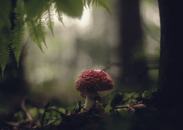 The hidden costs of toxic handling Toxic handling