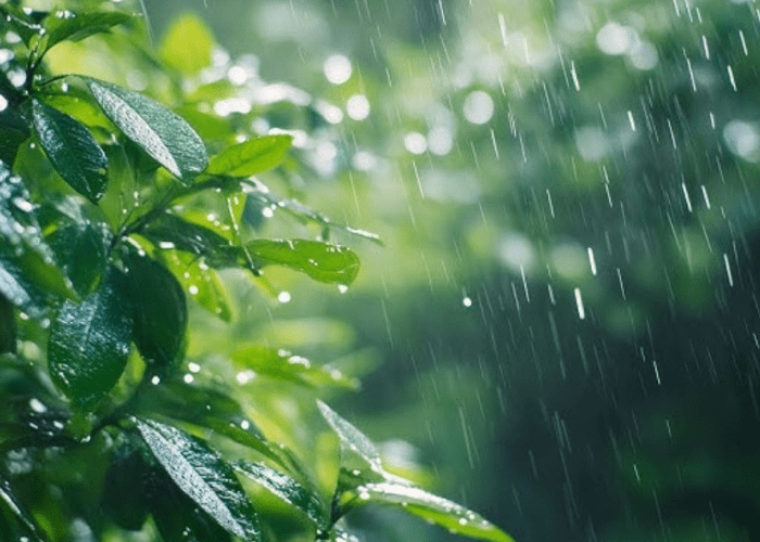 LinkedIn post slams ‘One Day WFH’ policy during monsoon One Day WFH