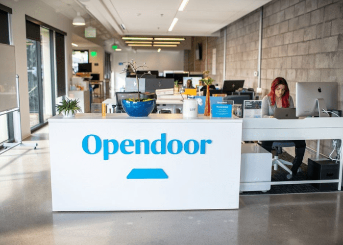 Opendoor chairman flags overstaffing, signals leaner workforce ahead Opendoor