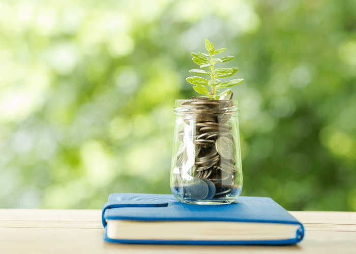 Beyond the bonus: Why financial literacy matters more than pay rises financial literacy