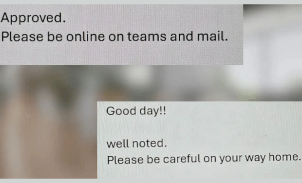 Reddit post comparing Japanese and Indian managers’ leave responses sparks debate workplace culture