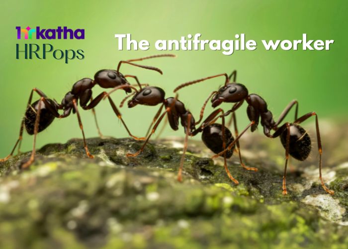 Antifragile workers: Thriving on chaos Antifragile workers--Thriving in chaos (HR Pops)