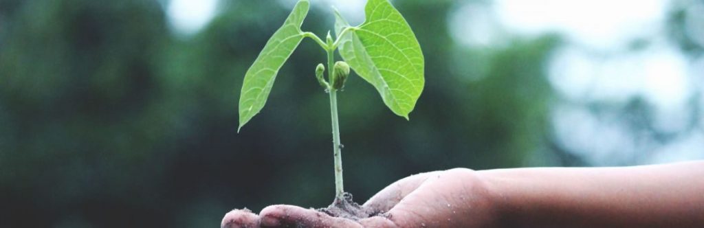 How apprenticeships deliver local economic growth